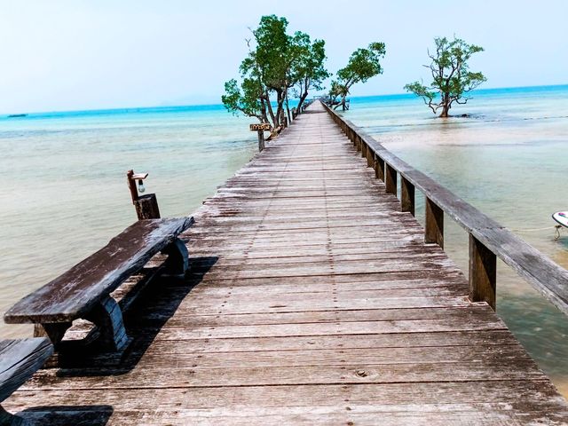 สะพานสู่ฝัน ณ เกาะหมาก จ. ตราด