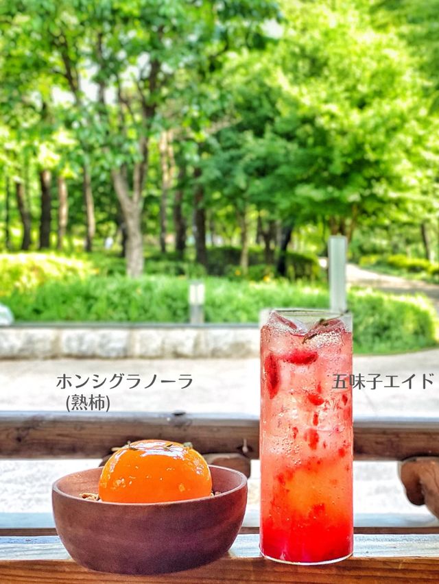 【韓国旅行】優雅✨思いっきり韓国らしさを感じる✨韓屋カフェ