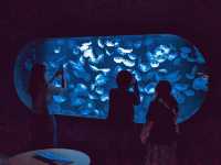 【札幌市内最大の水族館】夏休みにオススメ！ネイチャーアクアリウムも楽しめる水族館