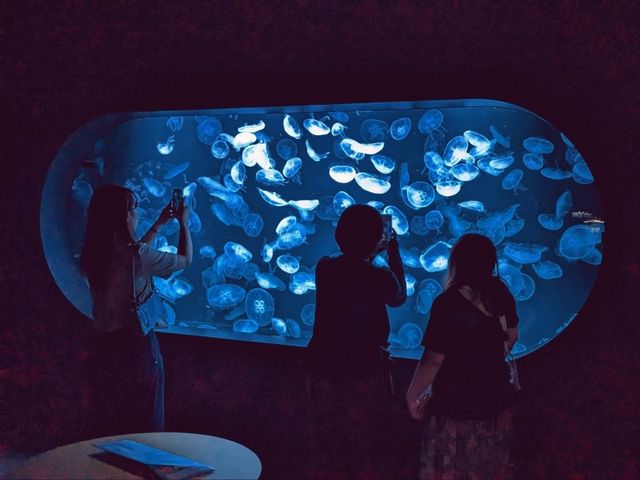 【札幌市内最大の水族館】夏休みにオススメ！ネイチャーアクアリウムも楽しめる水族館