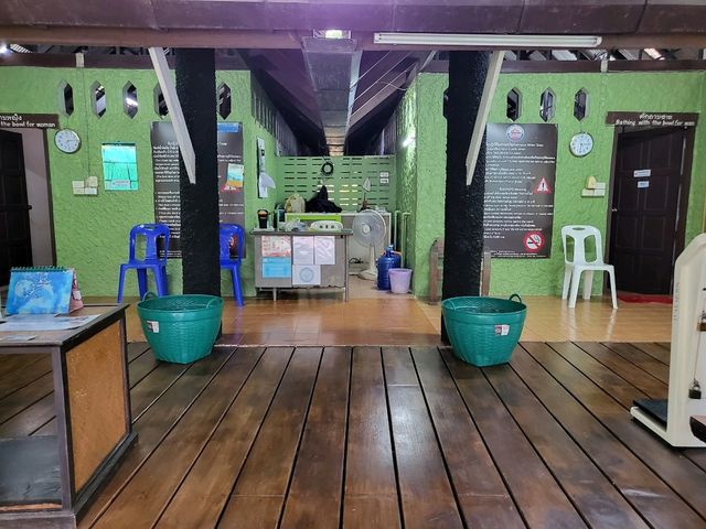 แช่น้ำพุร้อนสันกำแพง เดินชมงาน Vijitr@Chiang Mai