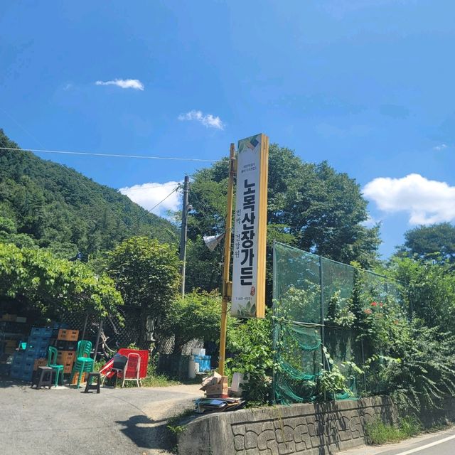 두근두근여름휴가 시원한 계곡물에 발을 담구고 백숙을 먹을 수 있는 곳 노목산장가든