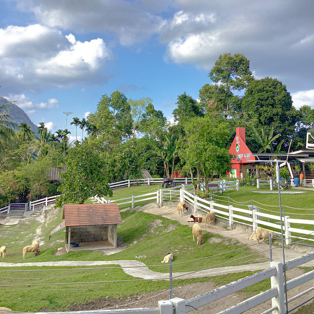 ลานสกาฟาร์มแกะ นครศรีธรรมราช