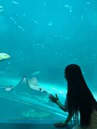 อควาเรียมบางแสน🐠🦀🪼 : ที่เที่ยวบางแสน
