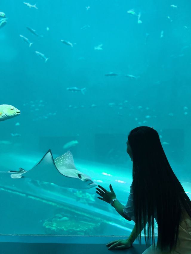 อควาเรียมบางแสน🐠🦀🪼 : ที่เที่ยวบางแสน
