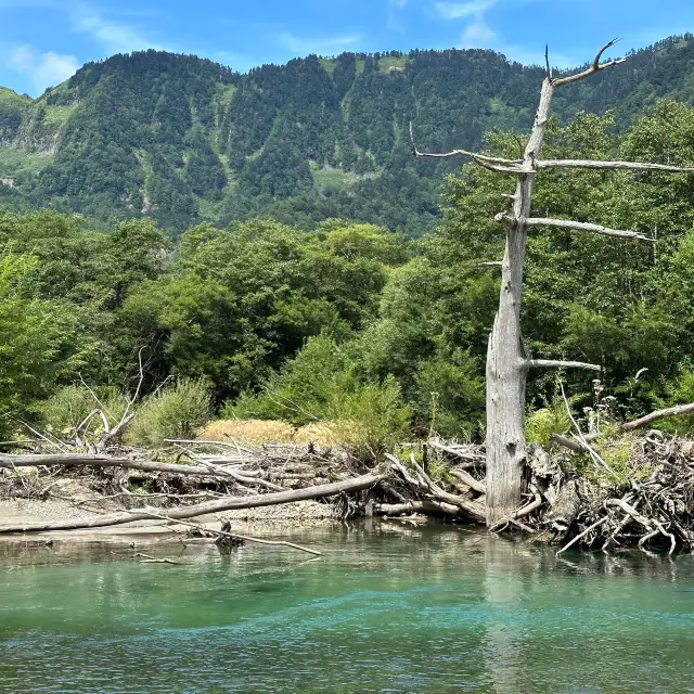 上高地 ｜大正池藍色的天堂