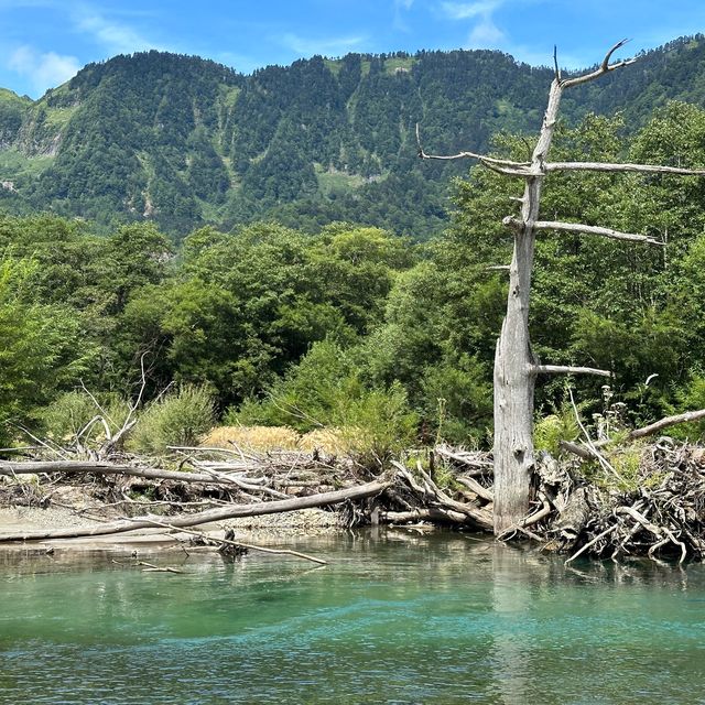 上高地 ｜大正池藍色的天堂