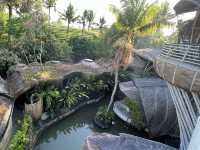 Avatar Experience in Bamboo Eco Resort Bali