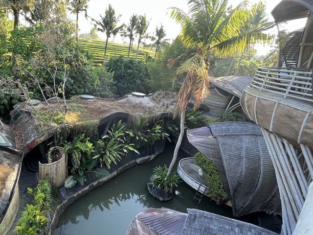 Avatar Experience in Bamboo Eco Resort Bali