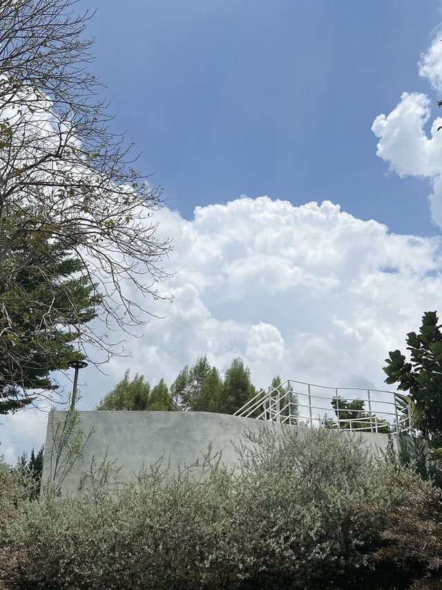 สวนของพ่อ บางมะฝ่อ & S T U D I O  จ.นครสวรรค์