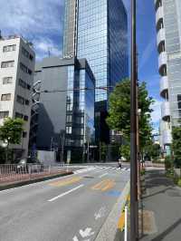 Japan Travels: Tokyo Tower in Minato City