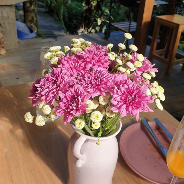 Woo Ma Ca Moo เชียงใหม่ ที่พัก Homestay สุดคิ้วท์ส Woo Ma Ca Moo เชียงใหม่ ที่พัก Homestay สุดคิ้วท์ส