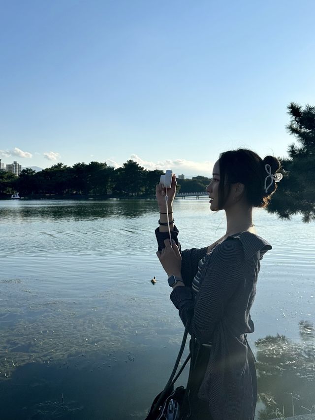 후쿠오카 필수 여행코스, 오호리공원 🐤