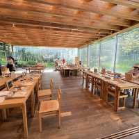 🇰🇷 Innisfree Jeju House 