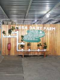 Experience Nature's Charm at Desa Dairy Farm