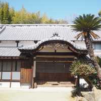 アートも楽しめる島