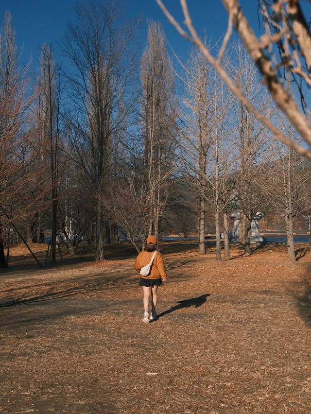 人少景美 可以看到富士山的寧靜公園🍂