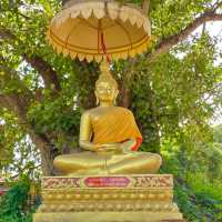 Aham Reverie: Timeless Tranquility Beckons