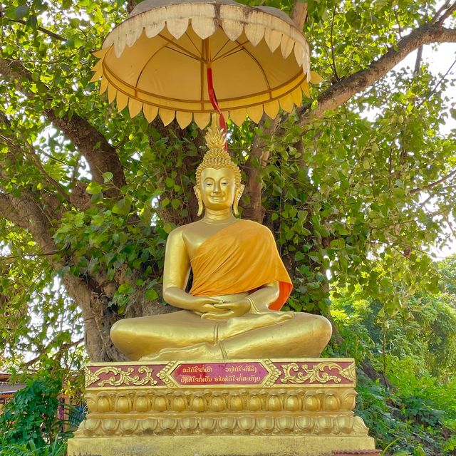 Aham Reverie: Timeless Tranquility Beckons