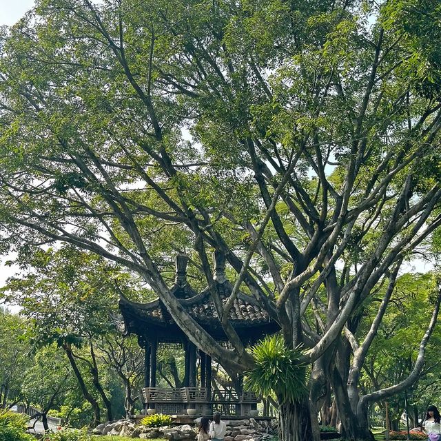 สวนจีนกลางกรุง 🇨🇳🛖
