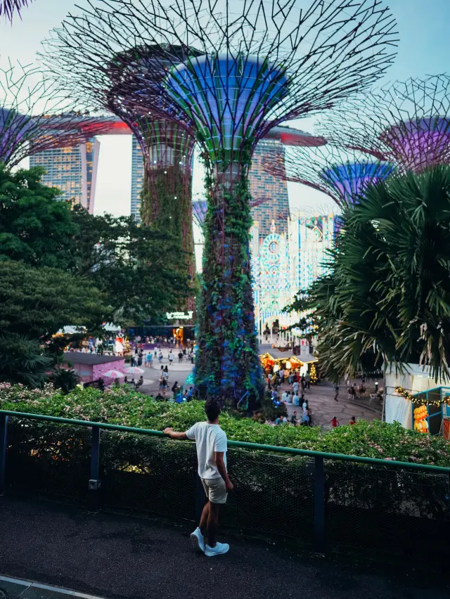 Celebrating the year-end holiday in SG