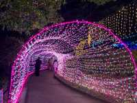 งานประดับไฟ Shinchi Park 新地公園