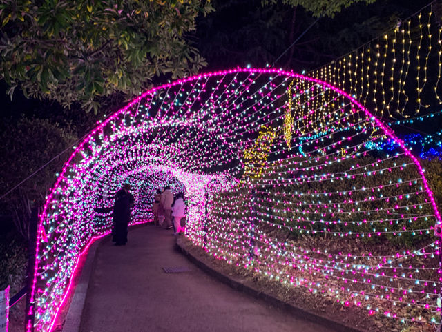 งานประดับไฟ Shinchi Park 新地公園