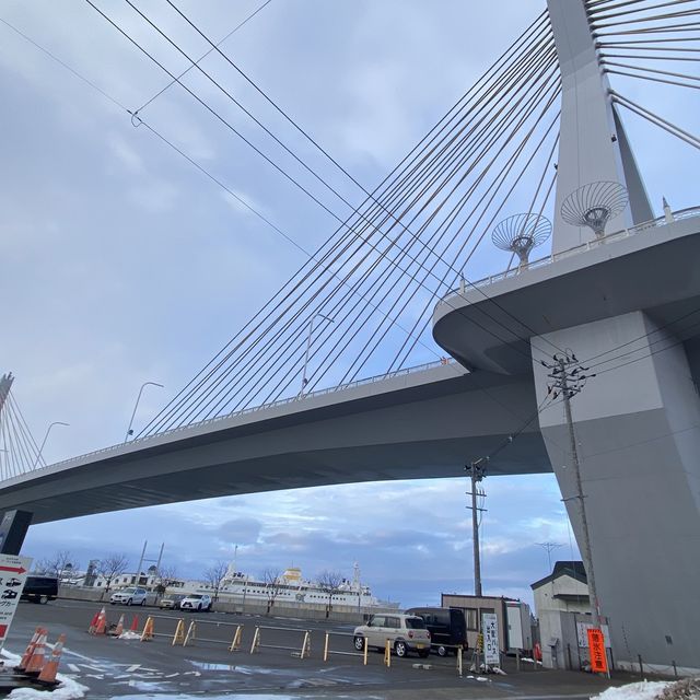 Winter Wonders Unveiled: Aomori Bay Bridge