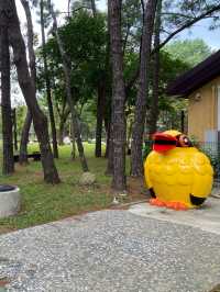 桃園 大湳森林公園🌳 綠色空閒大地