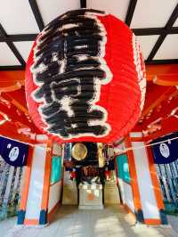 【東京都/根津神社】幅広い方々から人気の神社