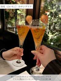 【長野/軽井沢】スペイン王室御用達のお店👑レストラン・ホセルイス軽井沢で楽しむディナー
