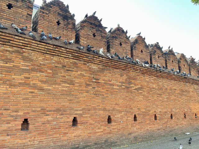 ประตูท่าแพ Landmark เชียงใหม่