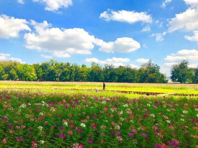 Nestled in a serene countryside. 