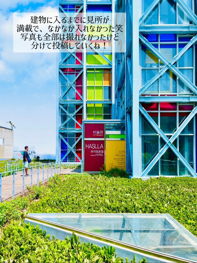 【韓国】江陵 10万坪の美術空間 ハスラアートワールドミュージアム 現代ART好きにオススメ 