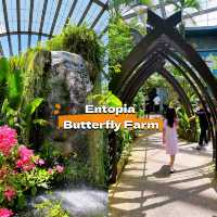 Entopia Butterfly Farm for Nature Lovers