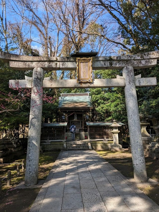 北野天満宮【北野の花手水】撫で牛の両脇の生花が華やかで綺麗