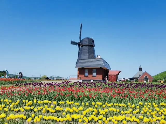 Kamiyubetsu Tulip Park 