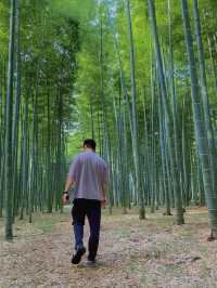 【デートにおすすめ🎋若山農場】