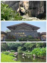 【臺北景點】臺北市立動物園：豐富多樣的動物種類，適合家庭遊玩