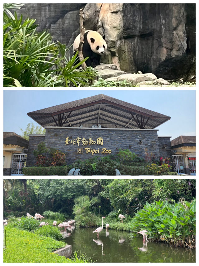 【臺北景點】臺北市立動物園：豐富多樣的動物種類，適合家庭遊玩