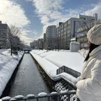 ☃️Odori Park สวนสาธารณะโอโดริ ในฤดูหนาว☃️❄️