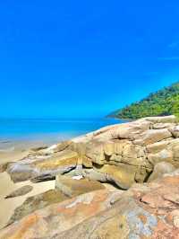 Penang National Park 