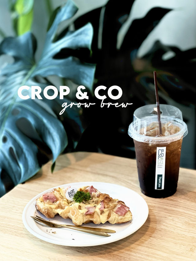คาเฟ่ Crop & Co 