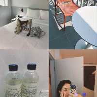 Pet friendly hotel🐱🐶🐻