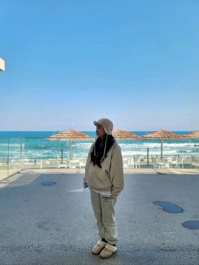눈호강 오션뷰 제대로 즐기는 경주 봄여행🩵