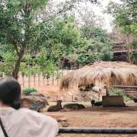 Khonkaen zoo
