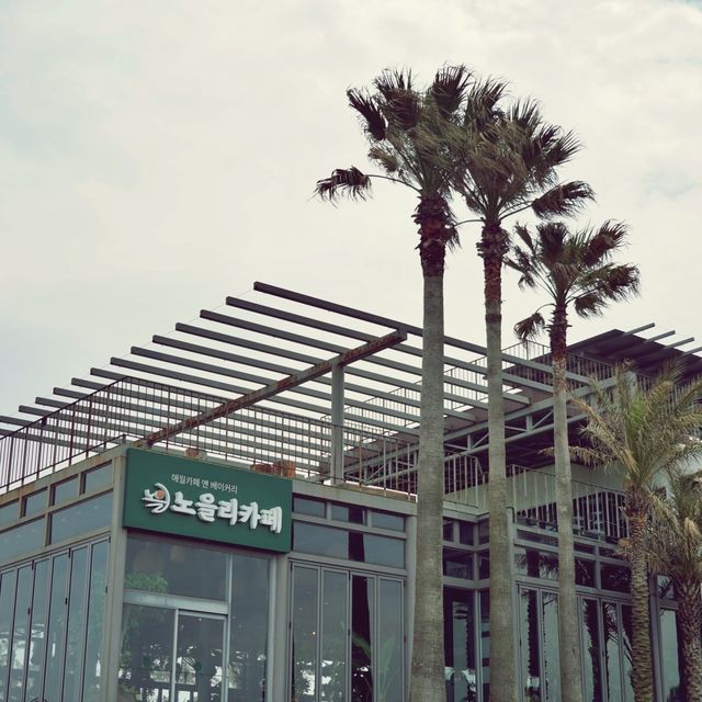 ☕️ 노을리, 애월 해안의 휴양지 같은 카페