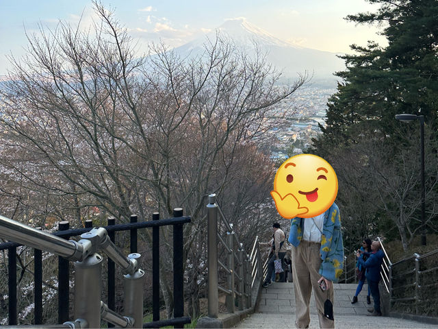 【💮新倉淺間神社💮】日本🇯🇵宣傳照的原模型：富士山🗻、櫻花🌸、五重塔🏯，一張盡收眼簾下。