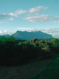 สันป่าเกี๊ยะ ดอยหลวงเชียงดาว ⛰️