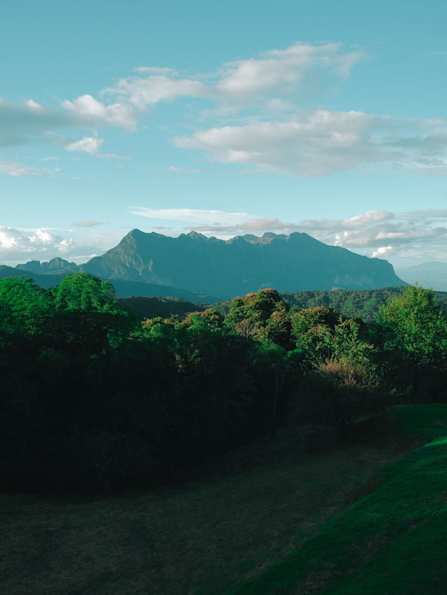 สันป่าเกี๊ยะ ดอยหลวงเชียงดาว ⛰️